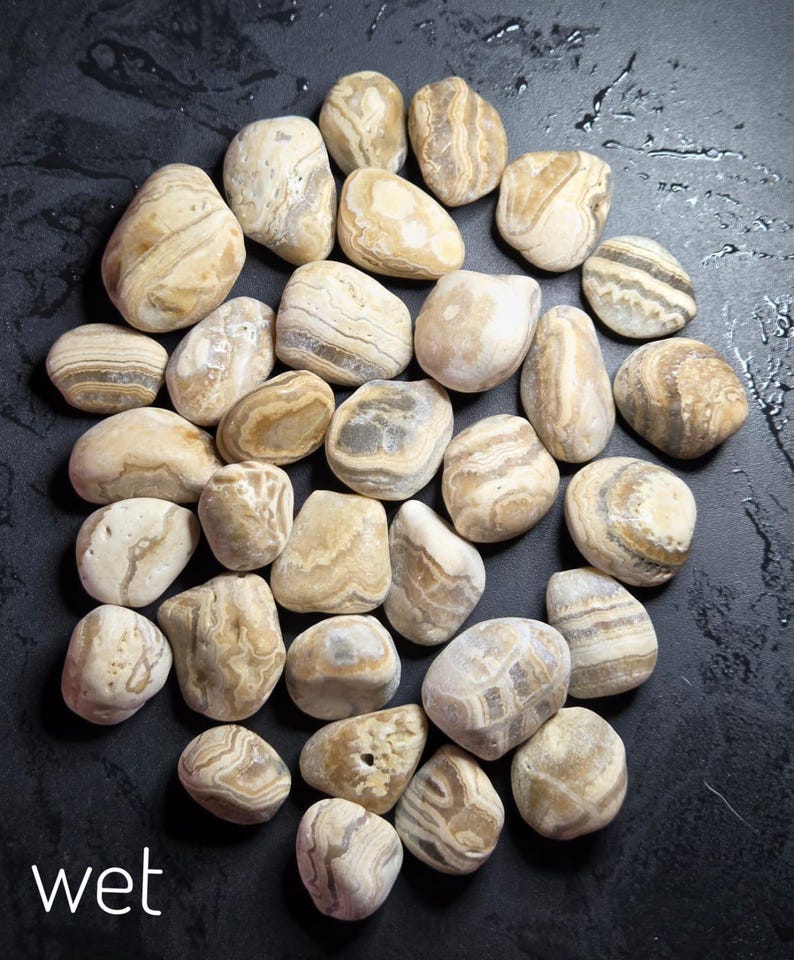 Pu&ograve; includere: Una collezione di ciottoli di fiume lisci, beige e marroni con motivi e trame uniche. Le pietre sono disposte su una superficie scura e bagnata. La parola "wet" &egrave; scritta in bianco in basso a sinistra dell'immagine.