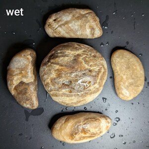 Puede incluir: Cinco piedras lisas y mojadas de diversas formas y tama&ntilde;os. Las piedras son principalmente de color marr&oacute;n y marr&oacute;n con patrones de vetas &uacute;nicos. La palabra "wet" est&aacute; en la esquina superior izquierda. Las piedras est&aacute;n sobre una superficie oscura.