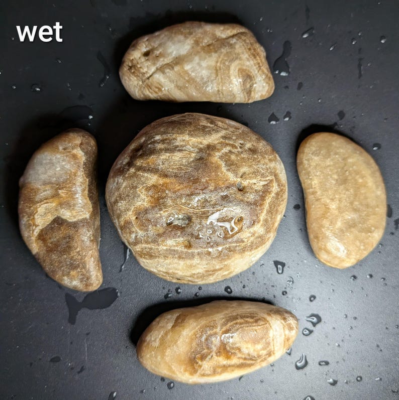Puede incluir: Cinco piedras lisas y mojadas de diversas formas y tama&ntilde;os. Las piedras son principalmente de color marr&oacute;n y marr&oacute;n con patrones de vetas &uacute;nicos. La palabra "wet" est&aacute; en la esquina superior izquierda. Las piedras est&aacute;n sobre una superficie oscura.