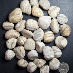 Pu&ograve; includere: Una collezione di pietre lisce, con motivi naturali, nei toni del beige, crema e grigio. Le pietre variano per dimensioni e forma, con striature e marmorizzazioni visibili. Una moneta &egrave; inclusa come riferimento delle dimensioni. Le pietre sono disposte su una superficie scura.