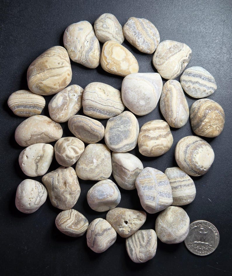 Pu&ograve; includere: Una collezione di pietre lisce, con motivi naturali, nei toni del beige, crema e grigio. Le pietre variano per dimensioni e forma, con striature e marmorizzazioni visibili. Una moneta &egrave; inclusa come riferimento delle dimensioni. Le pietre sono disposte su una superficie scura.
