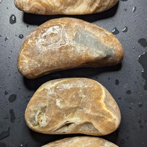 Puede incluir: Cuatro piedras lisas de forma ovalada, en tonos beige y marr&oacute;n, dispuestas verticalmente. Las piedras tienen un aspecto pulido, con vetas y patrones visibles. El fondo es una superficie oscura con gotas de agua.