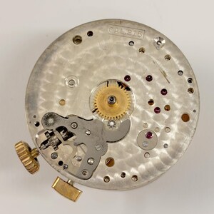 May include: Close-up of a watch movement with the text "CAL 215". The silver-colored mechanism features a gold-colored gear, a gold-colored crown, and several small red jewels. The intricate design is set against a light background.