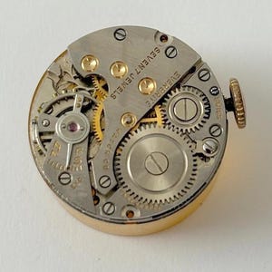 feaf3525-398c-4486-98b4-e8d977cdbede