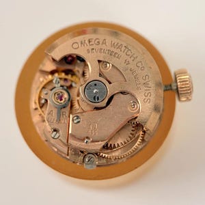 13ba154f-8ae1-4e23-aa54-f6f3c6f15575