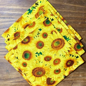 All About Sunflowers!