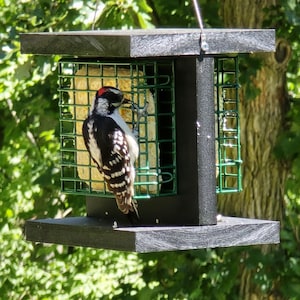 Double-Sided Suet Feeder
