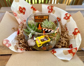 Construction DIY Terrarium Kit: Succulent Garden Craft for Kids