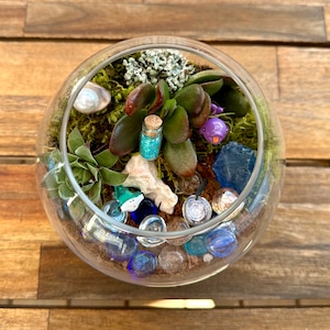Kit de terrarium bricolage sous la mer, kit de terrarium bricolage, travaux manuels pour enfants, terrarium de plantes succulentes plantés, boîte-cadeau de plantes, cadeau unique, kit de plantes succulentes