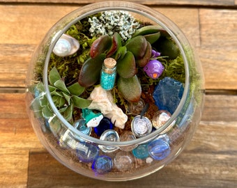 Verzauberter Fairy Garden Terrarium Kit mit Alle Kunstpflanzen - Etsy.de