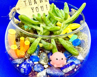 Kit Terrário Submarino: Vaso para Suculentas Faça Você Mesmo, Artesanato Infantil