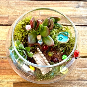 Kit de terrarium bricolage jardin féerique, kit de terrarium bricolage, travaux manuels pour enfants, terrarium planté de plantes succulentes, boîte-cadeau de plantes, cadeau unique, kit de plantes succulentes