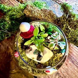 Kit de terrarium bricolage soutien émotionnel, soulagement de l&#39;anxiété, kit de terrarium bricolage, terrarium de plantes succulentes plantées, cadeau plantes, cadeau unique, kit de plantes succulentes