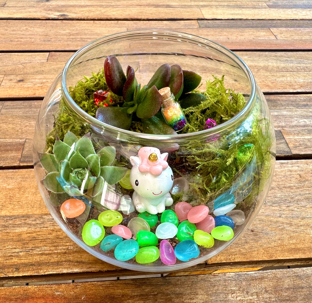 Unicorns and Rainbows DIY Terrarium Kit, DIY Succulent Kit, Craft for ...