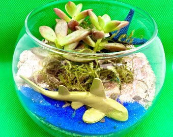 Kit Terrário Submarino: Vaso para Suculentas Faça Você Mesmo, Artesanato Infantil