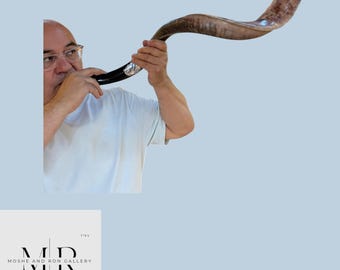 コーシャ羊の角笛ショファー：イスラエル産の本物のユダヤ教儀式