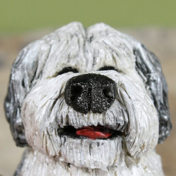 Odin the English Sheepdog
