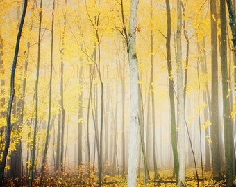 Autumn landscape photography art print -  Yellow fall foliage rustic harvest large print free shipping