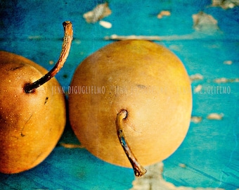 Still life Photography, Kitchen art print, Bosc Pear print, blue and brown summer fruit imagery