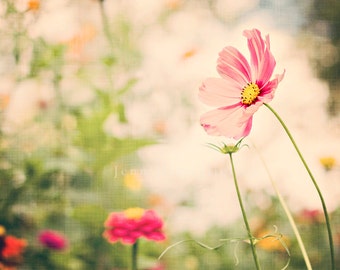 Wildflower garden photography |  Pinks, reds, purple botanical flower field  |  Print for girl