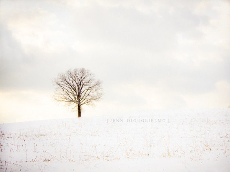 Snow Fine Art Photography image 1