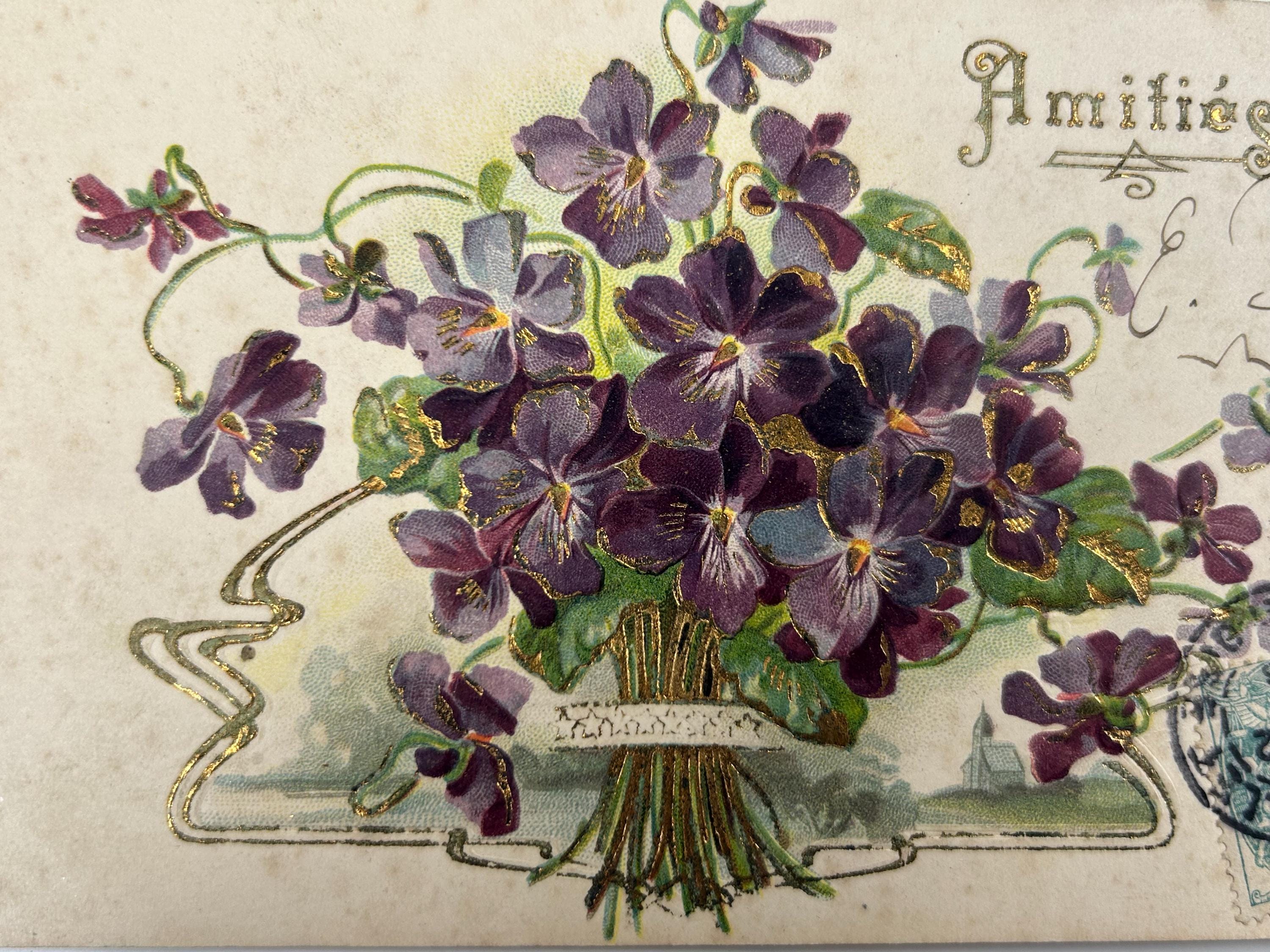 Ansichtskarte Veilchen Postkarte vintage Sammlerstück Lithografie Bildpostkarte Litho Briefkarte Korrespondenzkarte thrift