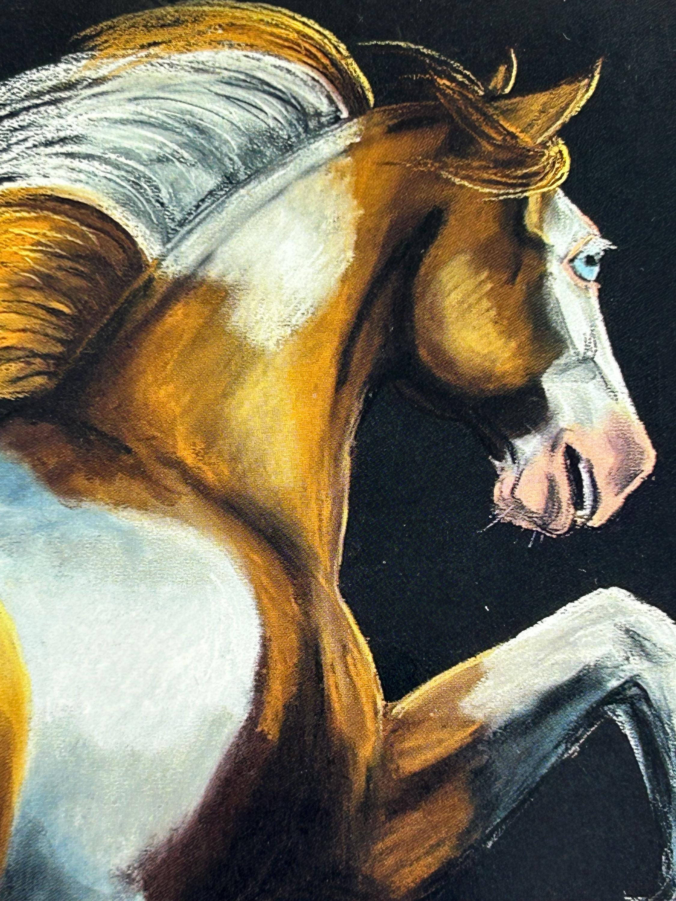 Postkarte vintage American Paint Horse lucie kolatorova Künstlerkarte Ansichtskarte Sammler Karten Sammlung retro Postkartensammlung thrift