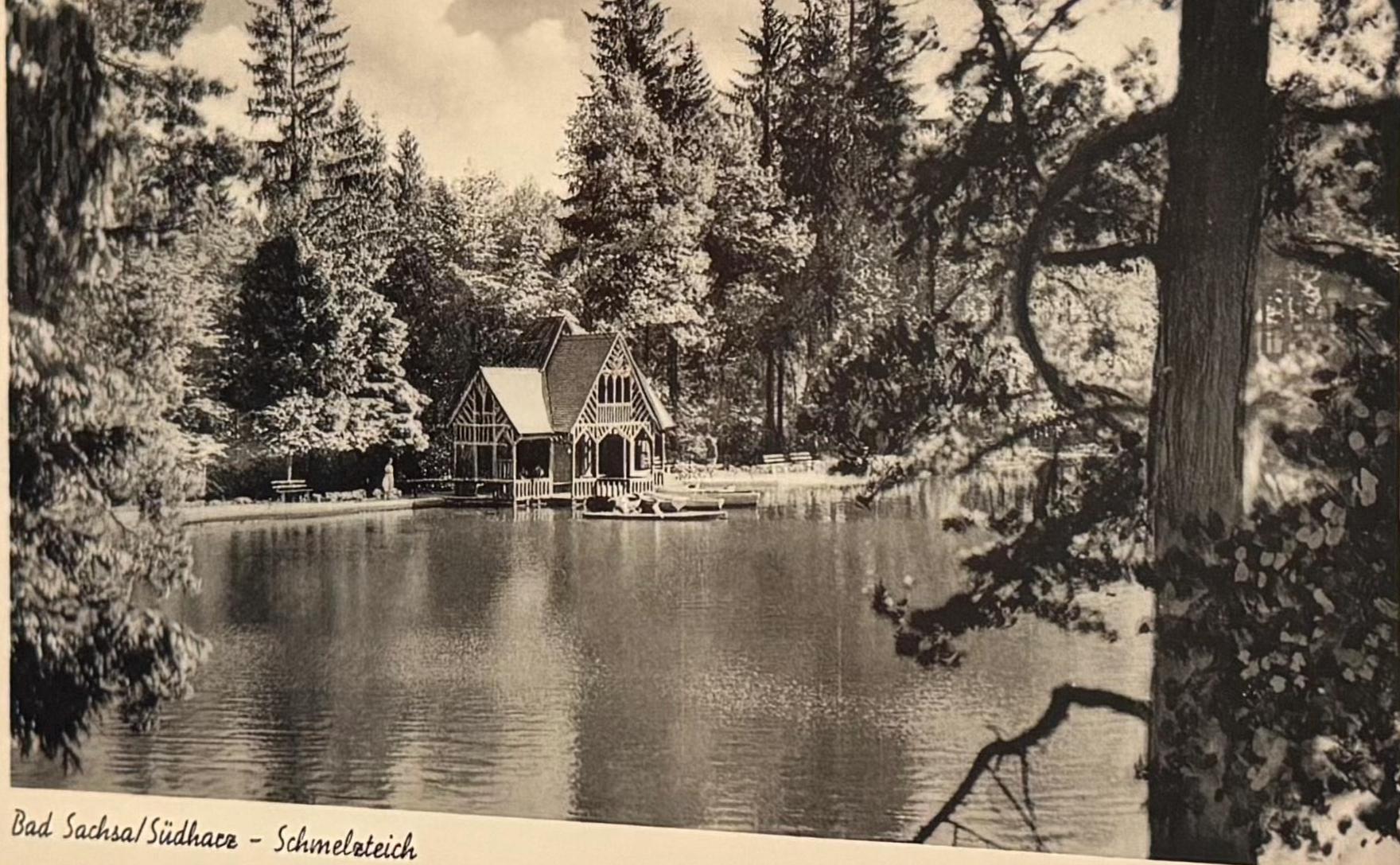 Postkarte Schmelzteich Bad Sachsa Südharz Künstlerkarte Ansichtskarte Sammler KartenSammlung retro Postkartensammlung thrift Postkarten