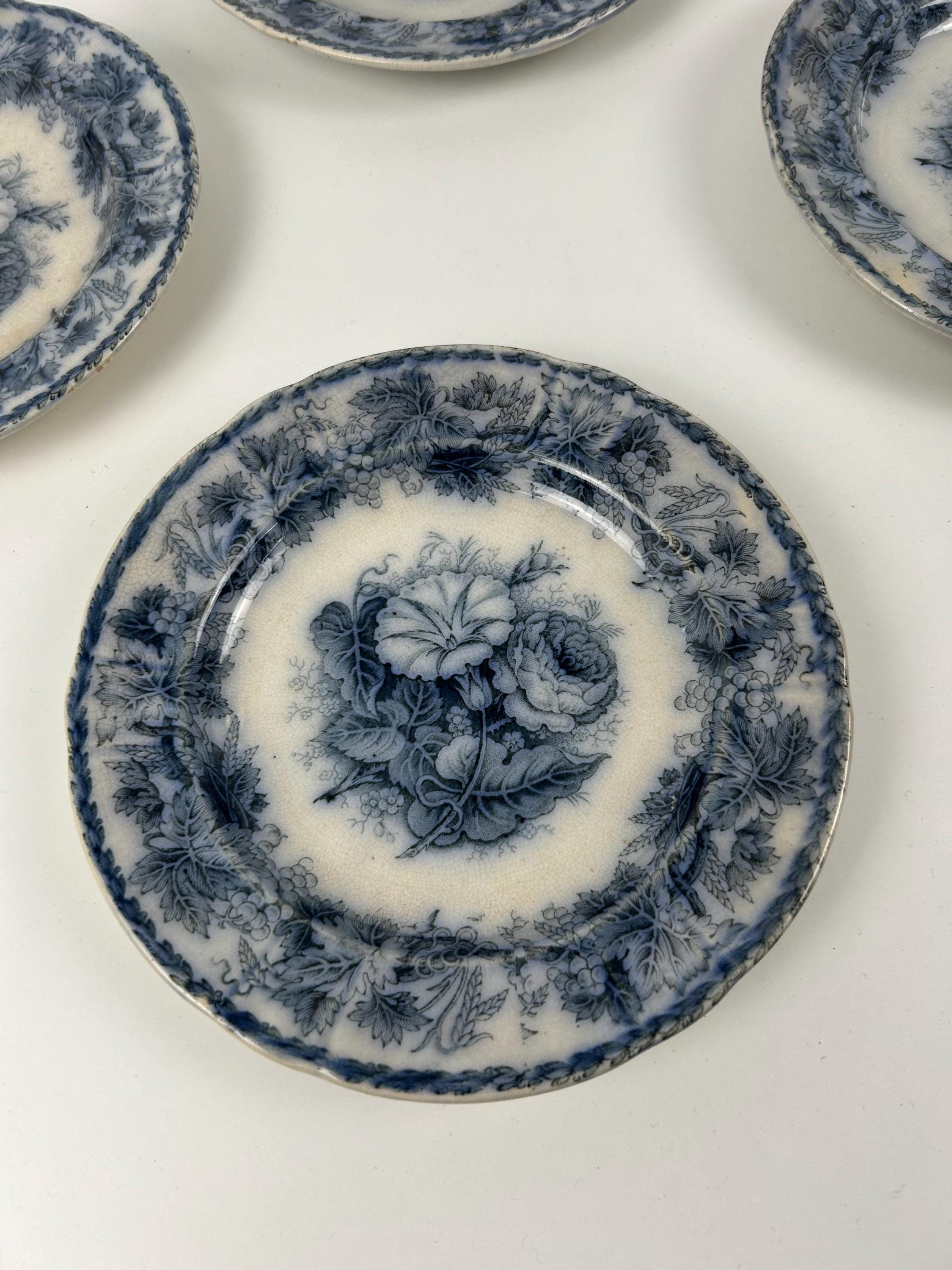 Ironstone Antikes englisches Tellerset (6 Stück) Flora 1850-1900 dinieren vintage Antiquitäten wunderschön Châteaucore 6,69 in 17 cm