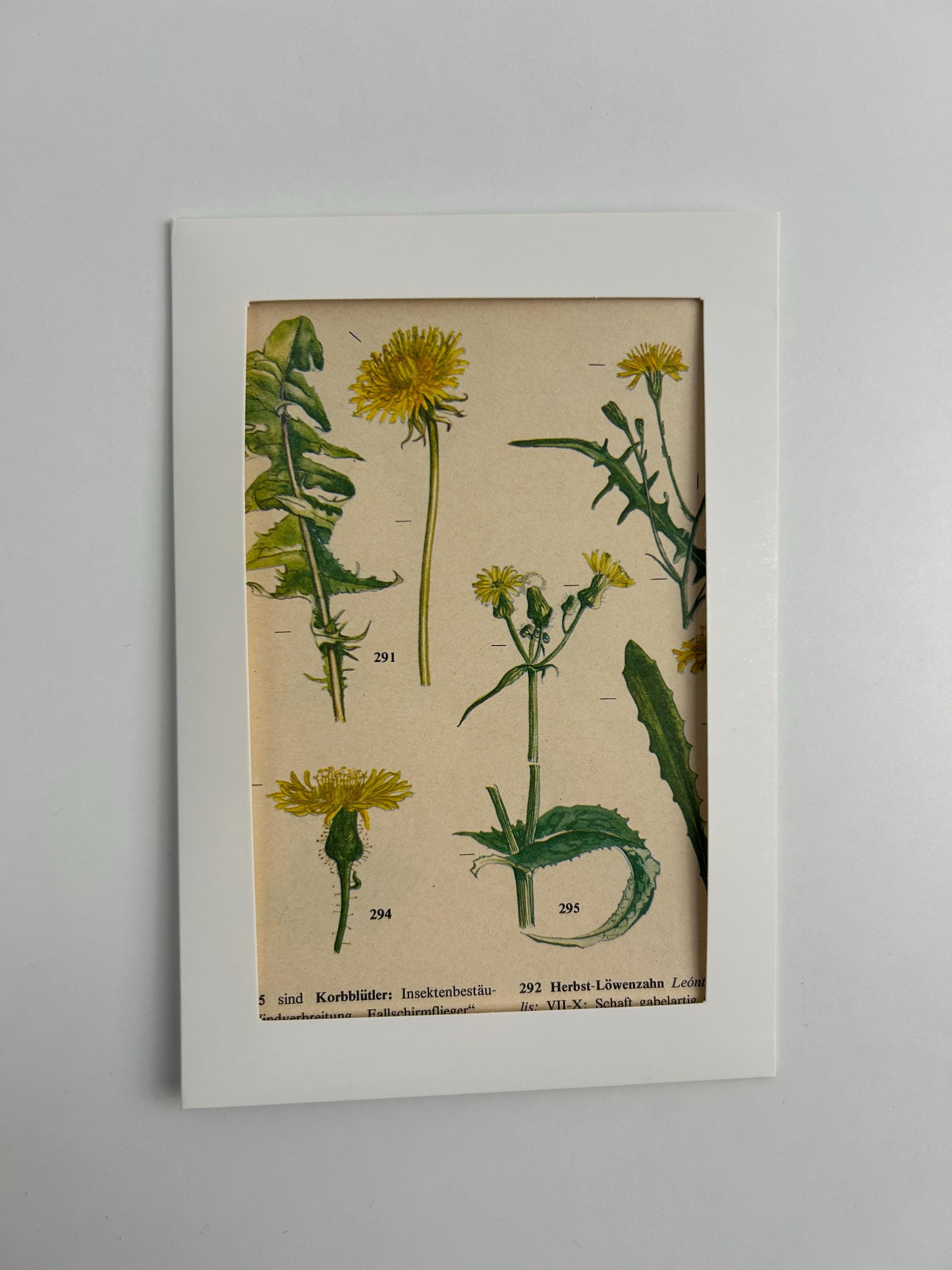 Vintage Grußkarte Handarbeit Pflanzen Sammlerkarte Blumen Postkarte Ansichtskarte Handgemacht