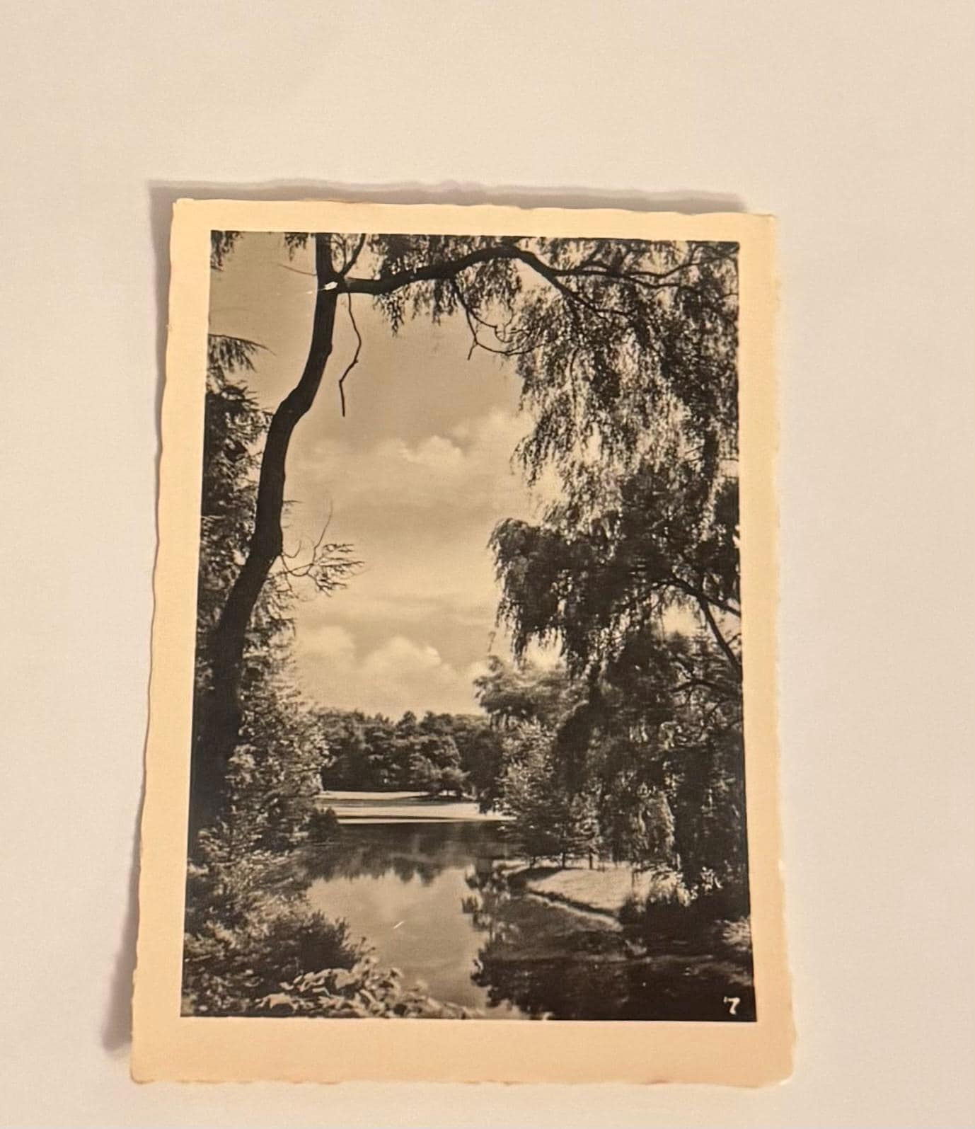 Postkarte Parklandschaft Postcard vintage Postkarte Künstlerkarte Ansichtskarte Sammler Karten Sammlung retro Postkartensammlung