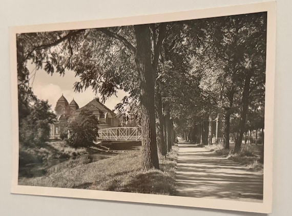 Antike Postkarte Bad Neuenahr Allee Künstlerkarte