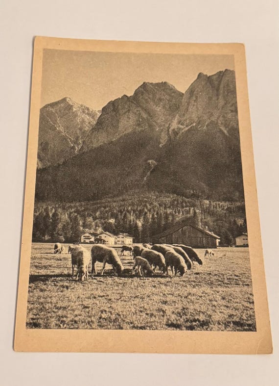 Antike Postkarte Alpen Idylle Schafherde Berge