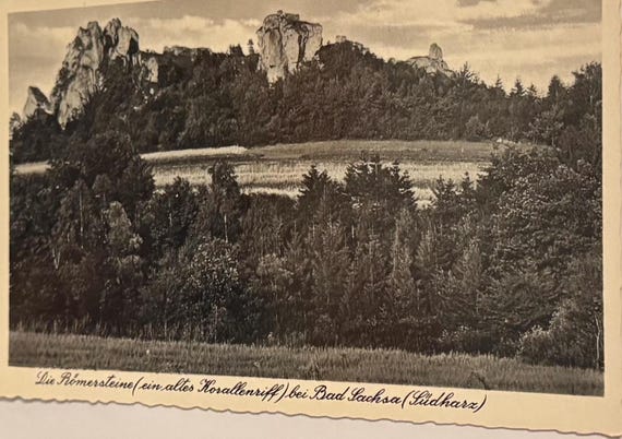 Postkarte Niedersachsen Bad Sachsa Künstlerkarte