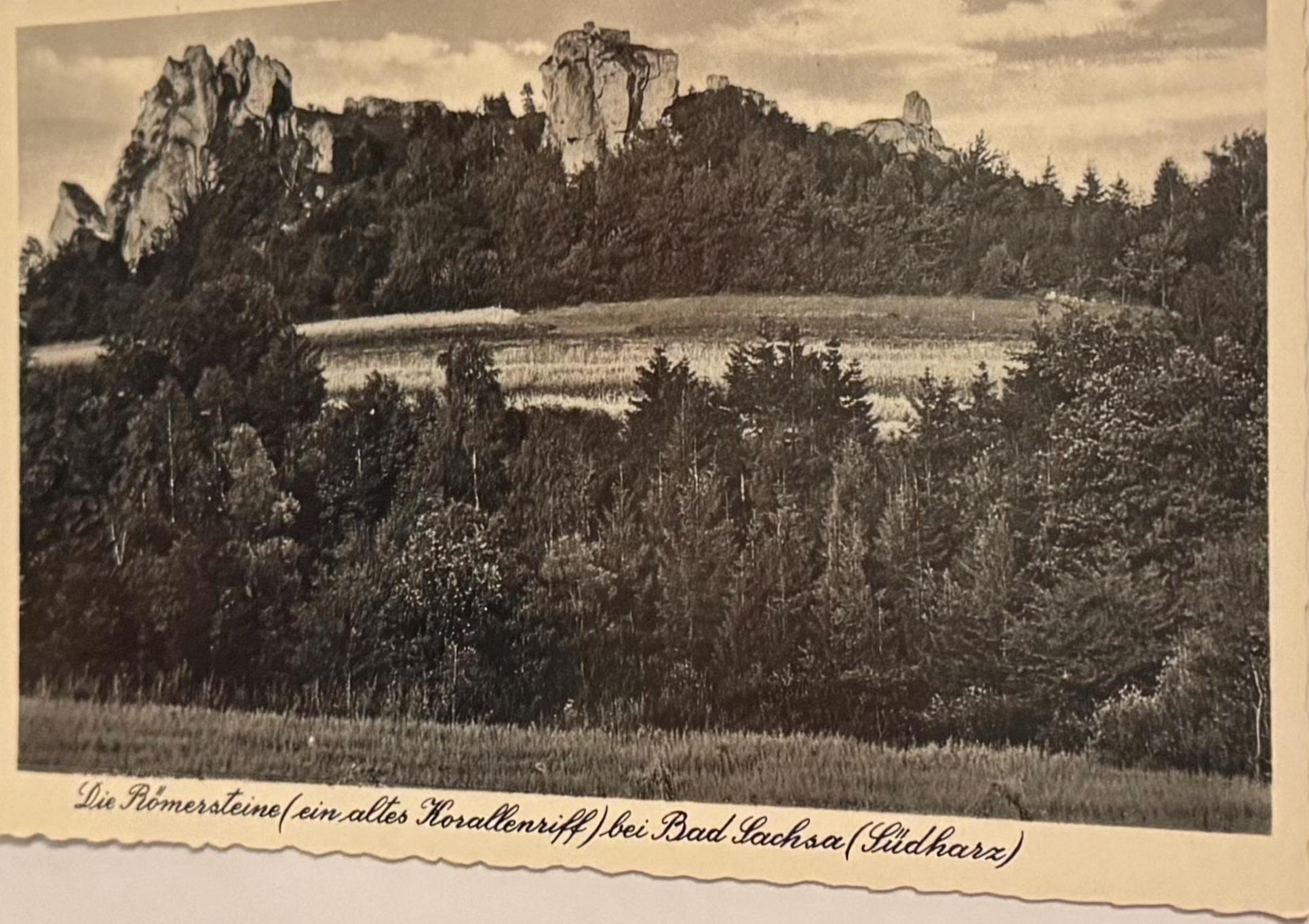Postkarte Niedersachsen Bad Sachsa Künstlerkarte Ansichtskarte Sammler KartenSammlung retro Postkartensammlung thrift Postkarten