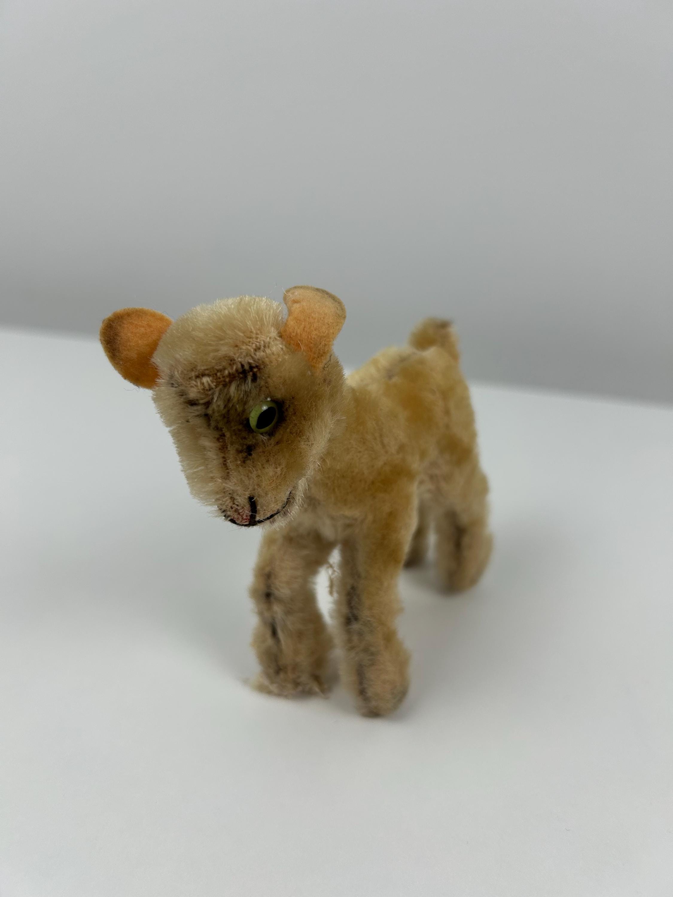 Vintage Steiff Lamm bespielt 10cm 3,9 in ocker Sammlung Steiffprodukte Sammler Dekoration altes Spielzeug Einrichtung antik Steiffsammlung