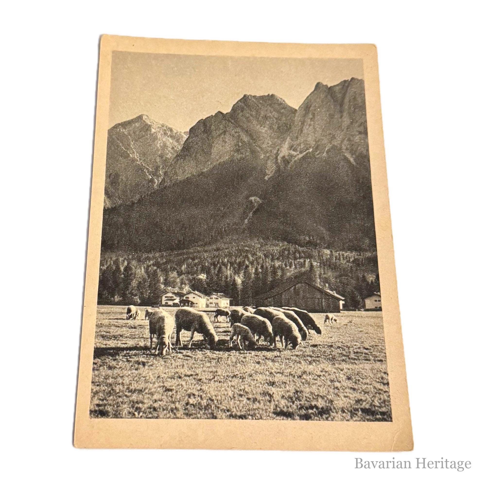 Carte Postale Ancienne Idylle Alpine Troupeau Moutons