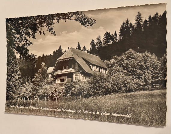 Vintage Baiersbronn Schwarzwald Postkarte