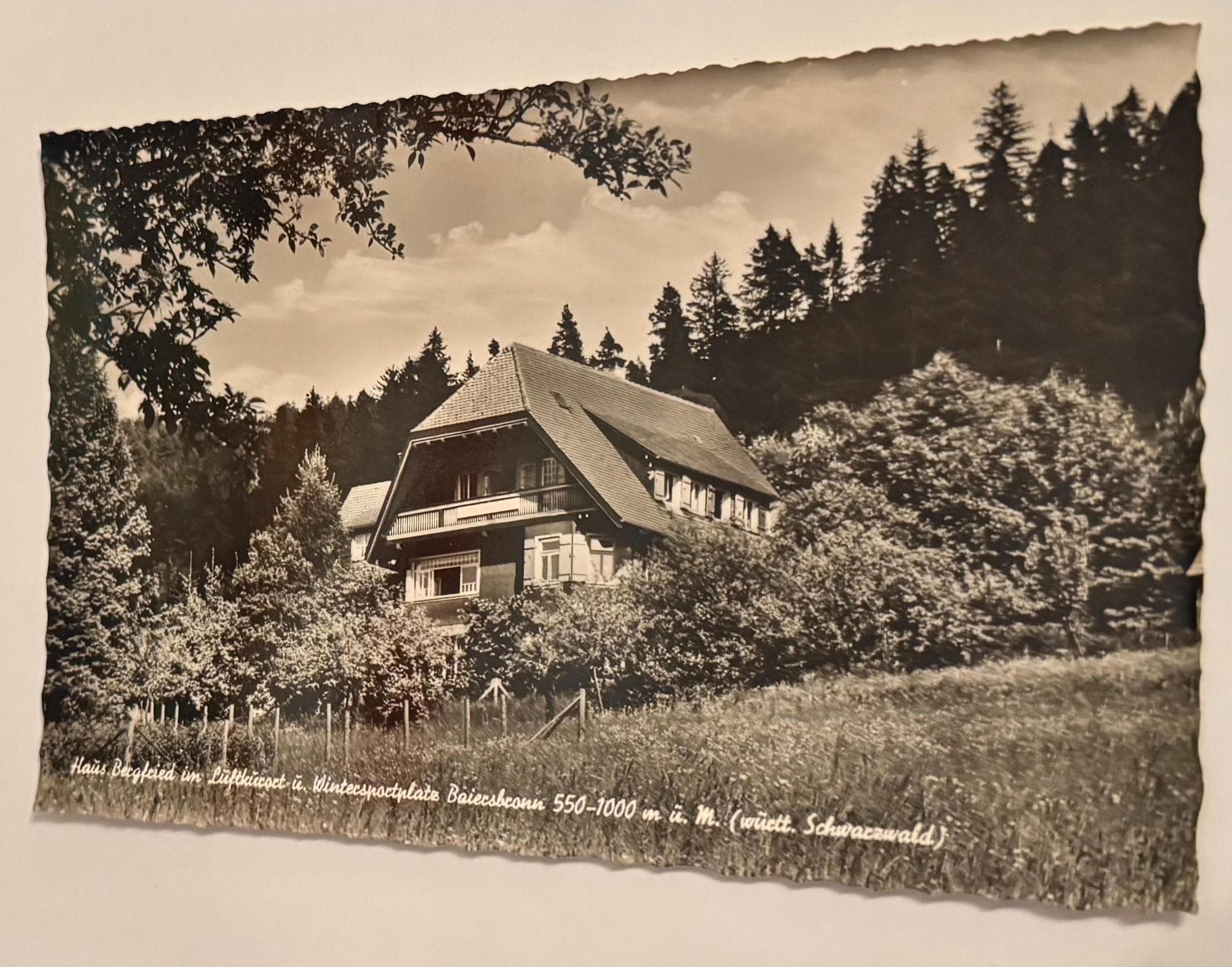 Postkarte Baiersbronn Schwarzwald Postcard vintage Postkarte Künstlerkarte Ansichtskarte Sammler Karten Sammlung retro Postkartensammlung