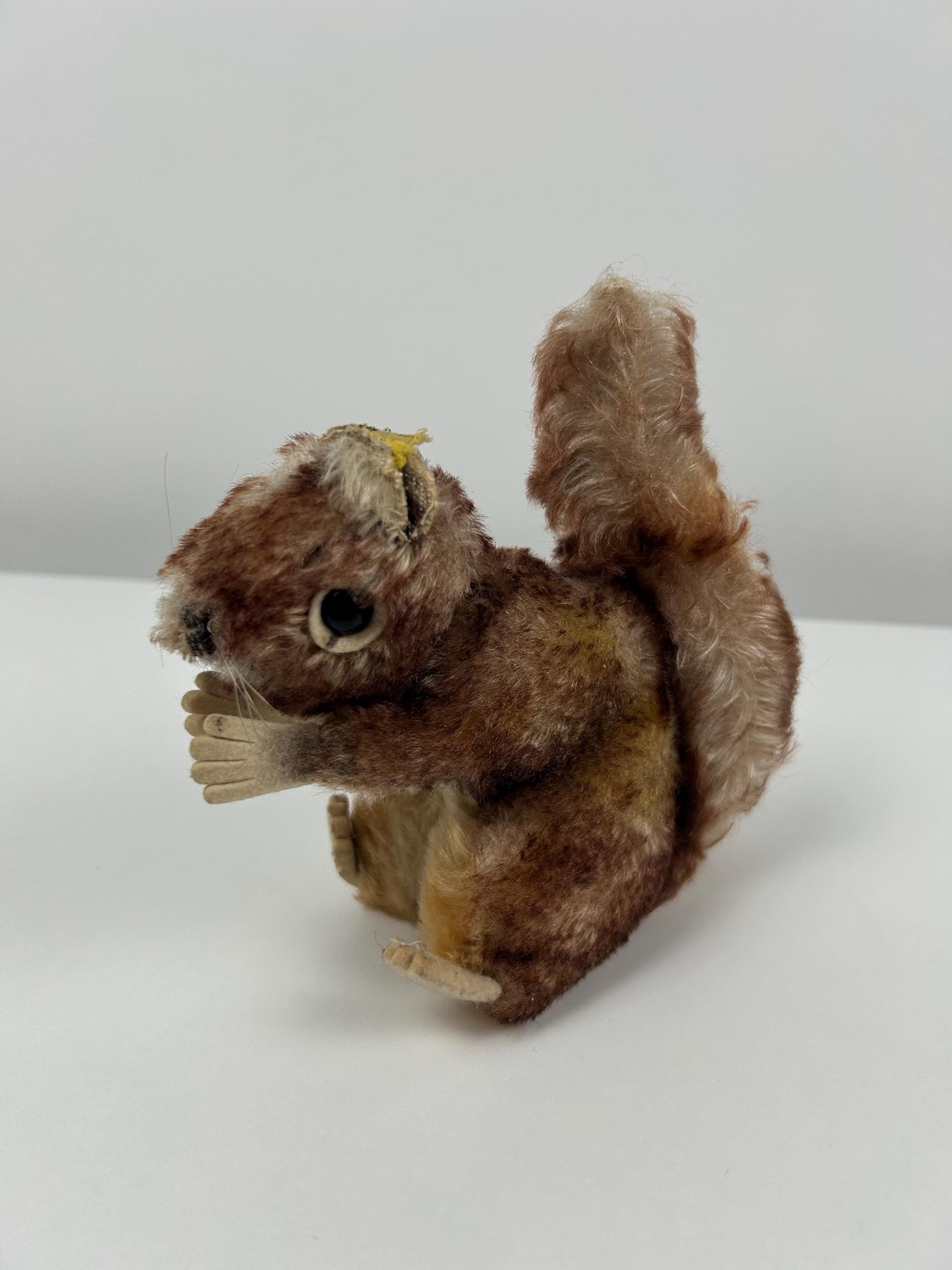 Steiff Eichhörnchen vintage 14cm 5,5" bespielt Steiffprodukte Sammler Dekoration altes Spielzeug Einrichtung antik Steiffsammlung Steifftier
