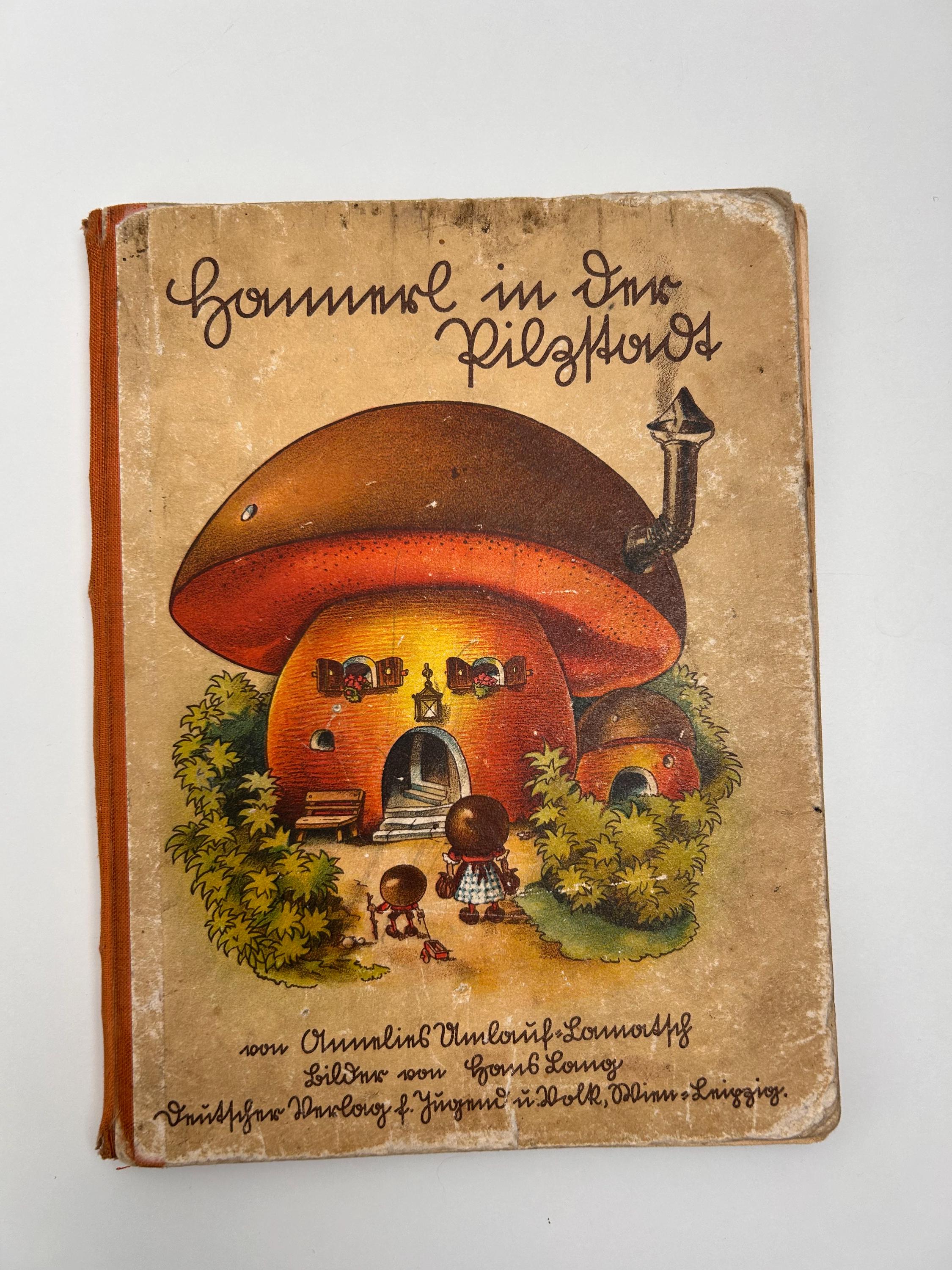 Vintage Buch Hannerl in der Pilzstadt von Annelies Umlauf-Lamatsch Antiquariat Buchgeschenk Liebhaber