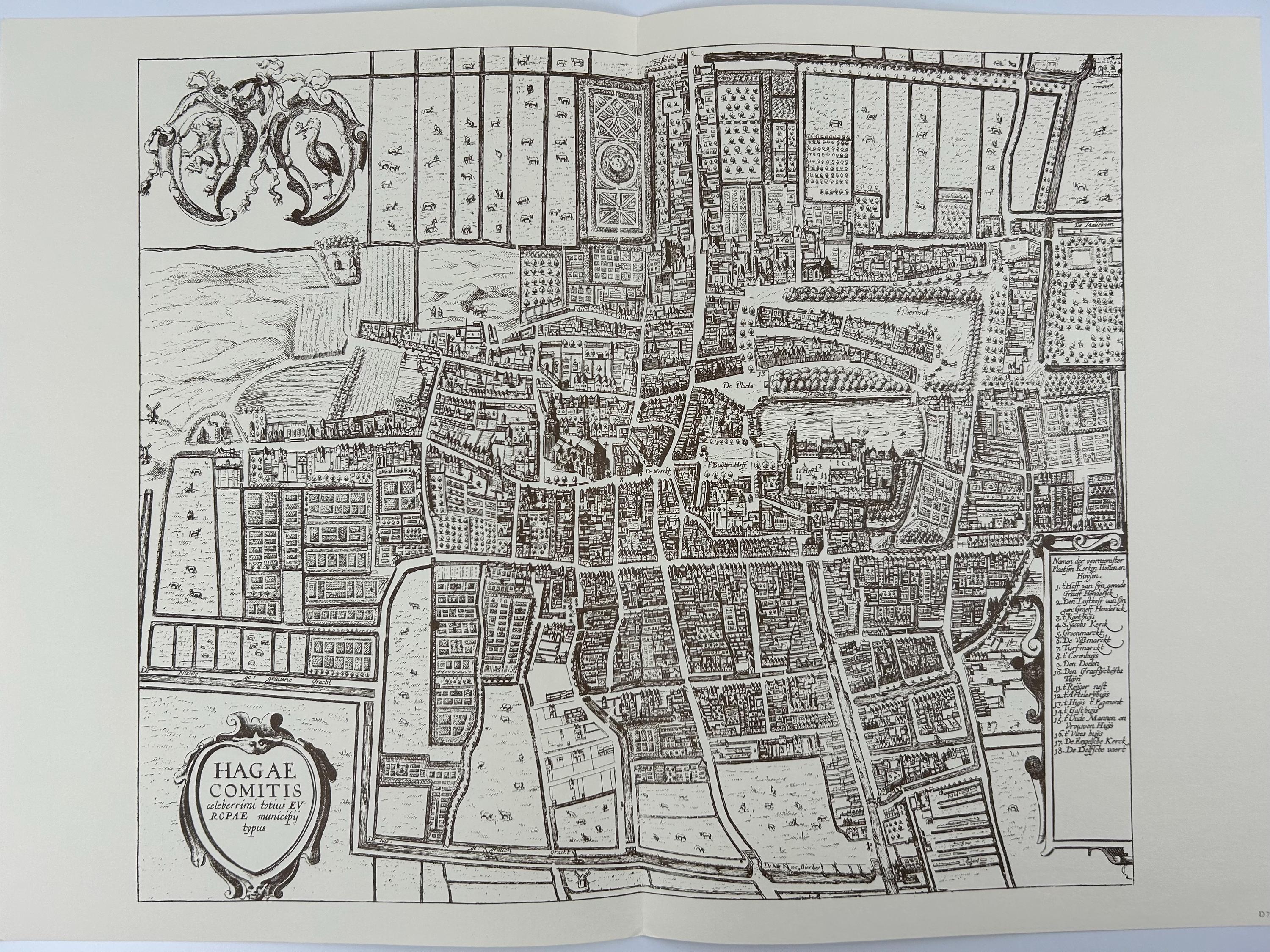 Stadtplan Den Haag vintage  60x43 cm 23,62x16,92 in Dekoration alt Wohndekoration Bild Wand Landkarte
