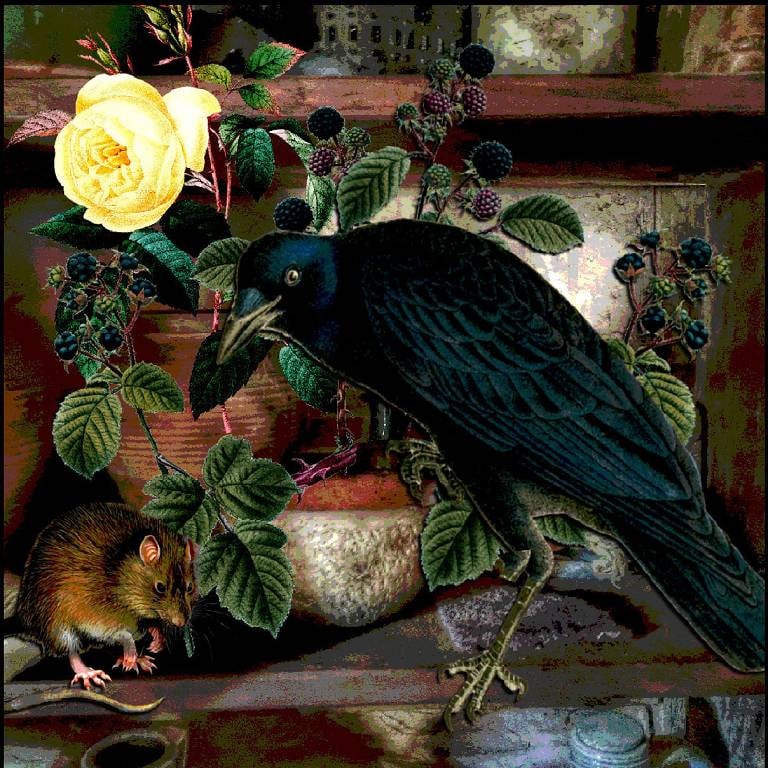Crow Mouse 122. Crow and Mouse Fabric Swatch: Potting Shed Design, Organic Cotton ...