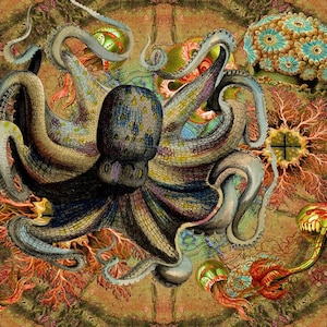 E. Octopus Haeckel Organic Cotton Sateen Fabric Swatch: Crazy Quilt Ocean Fantasy 8 x 10 inch