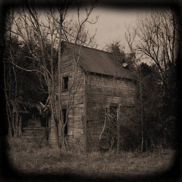 Tangled Old House in Ruin Sepis 5x5 on 8 x 10 Fine Art Print Rural North Carolina