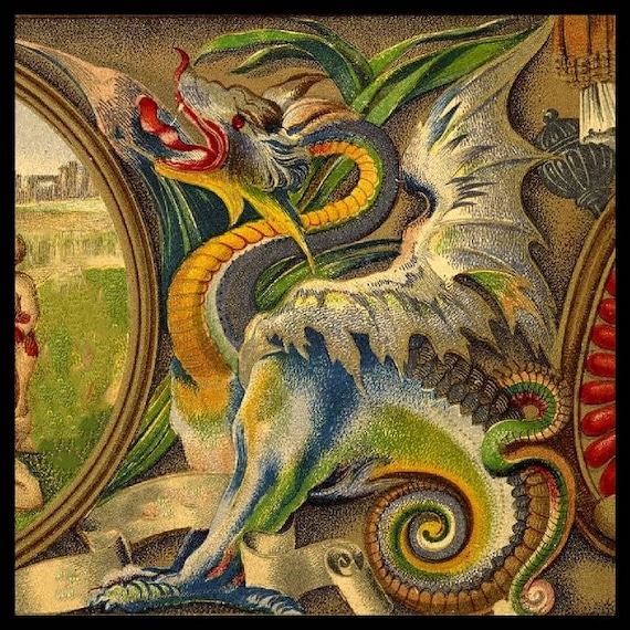 Dragon Cotton Sateen Fabric: Medieval Mystical Beast Print