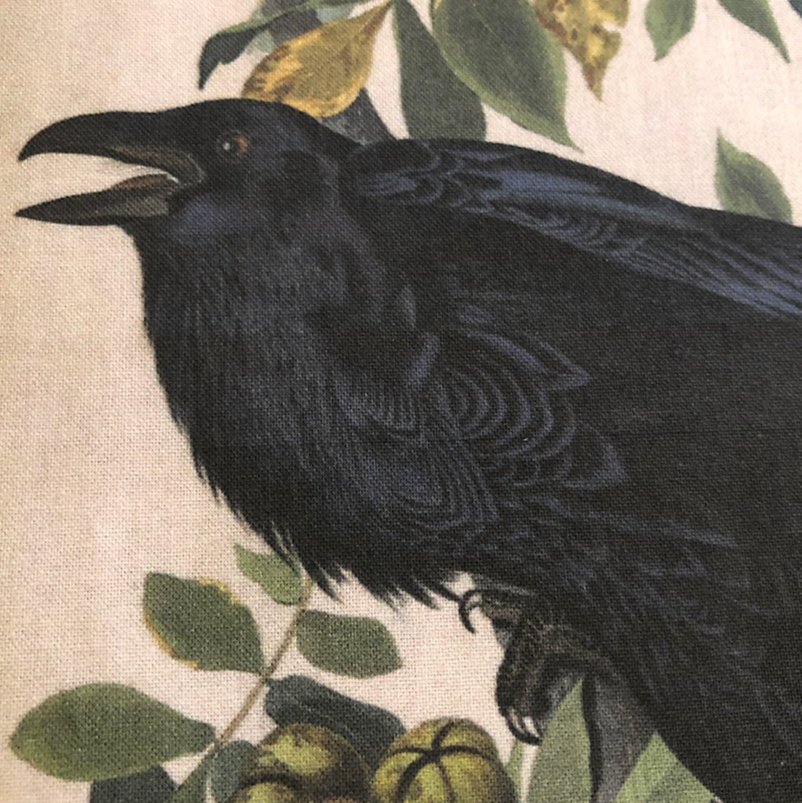 Crazy Quilt COTTON Fabric Crow 7 1/2 X 12 Inch Fabric Quilting Etsy