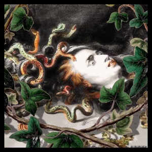 282. Grunge Mystical Beasts Medusa Gorgon Medieval Image COTTON Sateen Fabric Yellow Red Teal Blue Grey Green 8  x 8inches