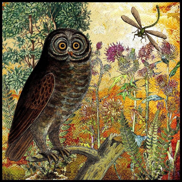 85. Owl, Thistle & Dragonfly Fabric Swatch: Organic Cotton Sateen, Quilting Sewing (8x8 inch)
