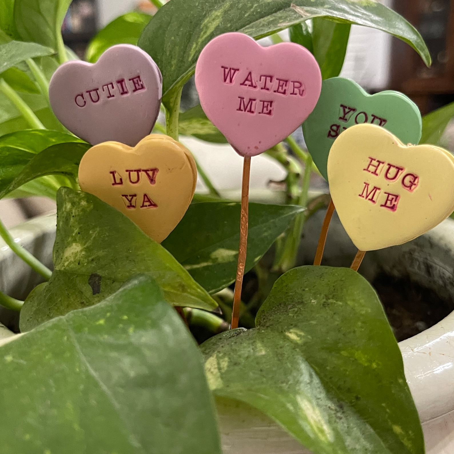 Valentine’s Day Gift for Plant Lover, Gardener, Cute Funny Valentine ...